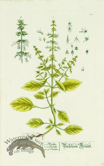 Blackwell German 051